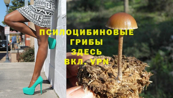 спиды Армянск