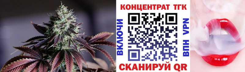 закладка Королёв ТГК концентрат